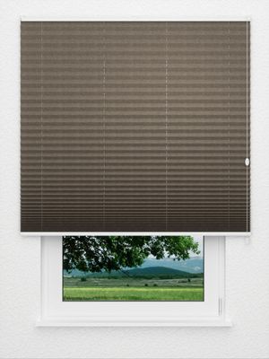 plisségordijn Concerto 3770.3503 Fensteransicht