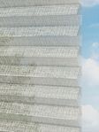 Rough Comb SCL 6101.3575 Detailansicht