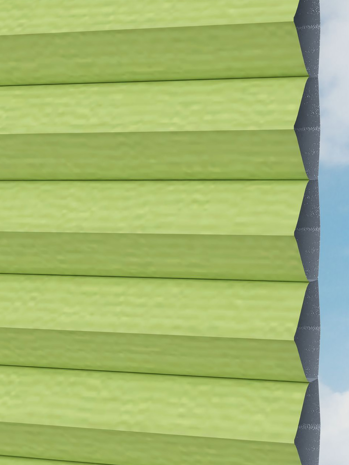 Detailansicht Honingraat Schaduwkam 8040.5061