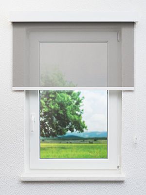 Preview Braunlage 10.133e 0