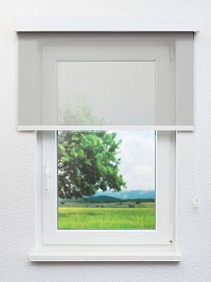 Preview Braunlage 12.133e 0