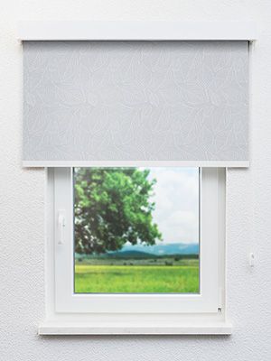 Preview Frankenthal 10.006e 0