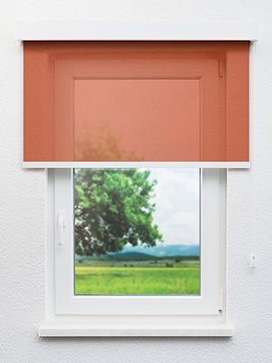 Preview Altentreptow 82.127e 0