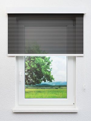 Preview Eggesin 30.109e 0