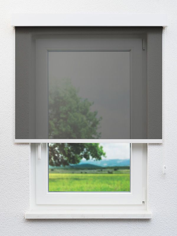 Detailansicht Braunlage 40.133e
