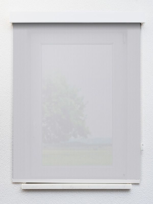 Detailansicht Zielen 10.068e