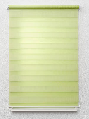 Besigheim 09.492e Fensteransicht