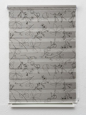 Blankenburg 10.903e Fensteransicht