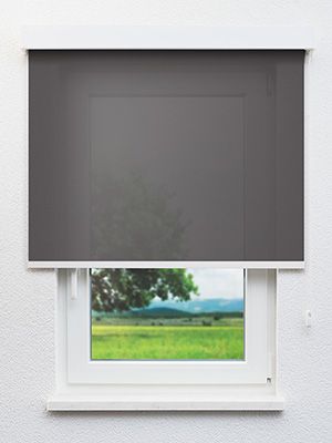 Dülmen 30.814e Fensteransicht