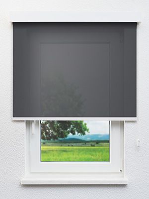 Zielen 30.068e Fensteransicht