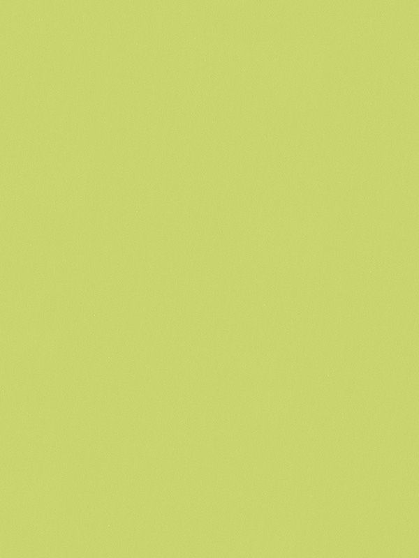 Detailansicht Dahn 09.151e