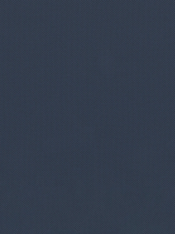 Detailansicht Dassel 76.161e