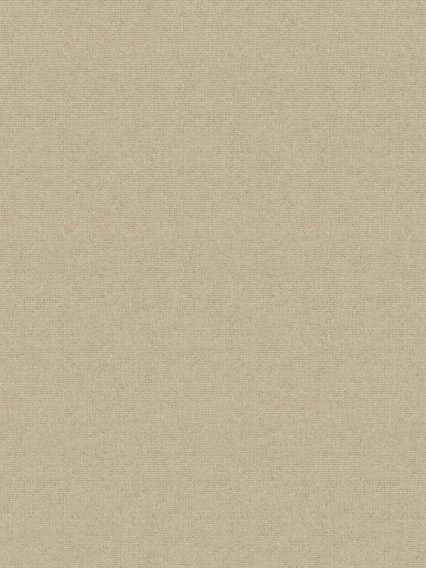 Detailansicht Felis Donker 5501.5212