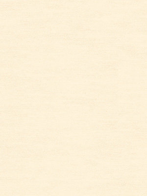 Celle 91.210e Detailansicht