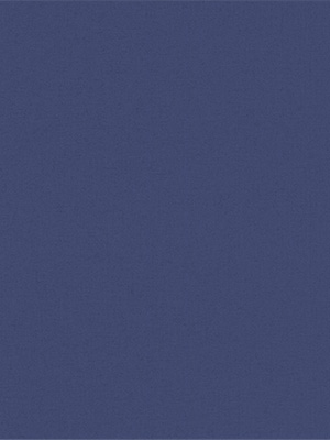 Clingen 85.040e Detailansicht