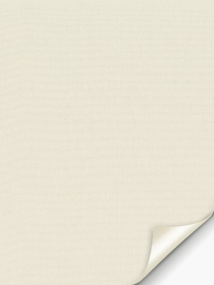 Delbrück 81.112e Detailansicht