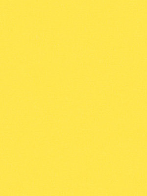 Dülmen 62.814e Detailansicht