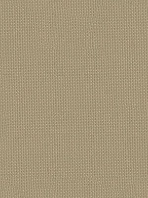 Düren 81.024e Detailansicht