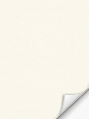 Verd. rolgordijn Miram 5501.4629w Detailansicht