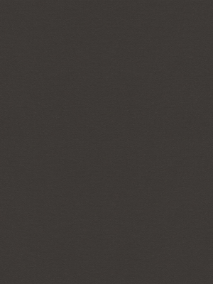 Verduisterend rolgordijn Ceres 5509.5009 Detailansicht