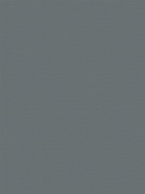 Rolgordijn Felis 5509.5204 Detailansicht