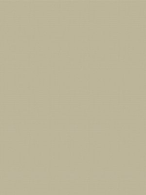 Rolgordijn Felis 5502.5205 Detailansicht