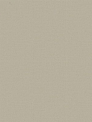 Rolgordijn Felis 5509.5203 Detailansicht